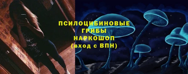 PSILOCYBIN Верхний Тагил