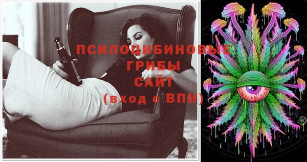 стаф Бугульма