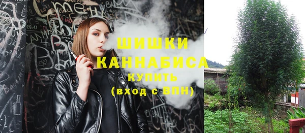 СК Бородино