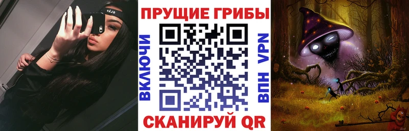 Псилоцибиновые грибы Psilocybe  omg ссылки  Губкинский 
